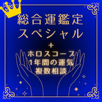 総合運鑑定スペシャル＋1年間の運気＋自由相談