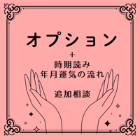 オプション　　　　　　　　リピーター様は単体注文OK