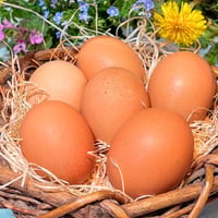 どんたけし農園  卵  6玉入(商品の重さ430g)