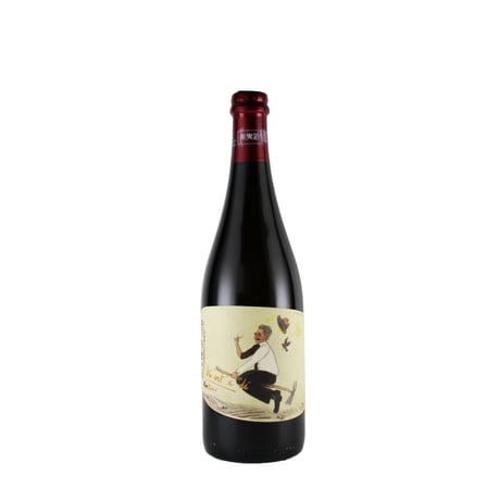 （白醸し）ディンテディ 2021/パーネヴィーノ（750ml）（商品の重さ1100g）