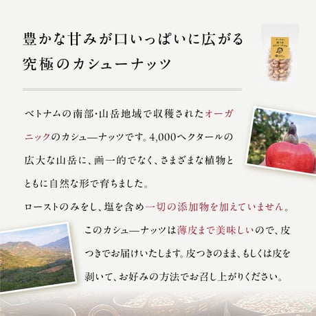 チーさんの皮付きカシューナッツ 塩味（175g）（商品の重さ175g）