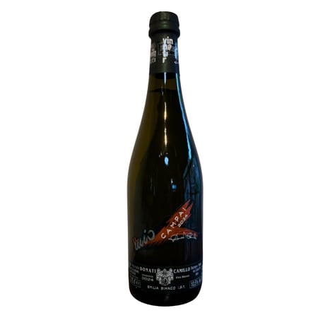 【クール便】(白) Camillo Donati / Campai 2024 (カミッロ ドナーティ / カンパイ)（750ml）（商品の重さ1300g）