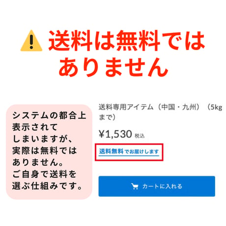 送料（沖縄）（2kg以内）