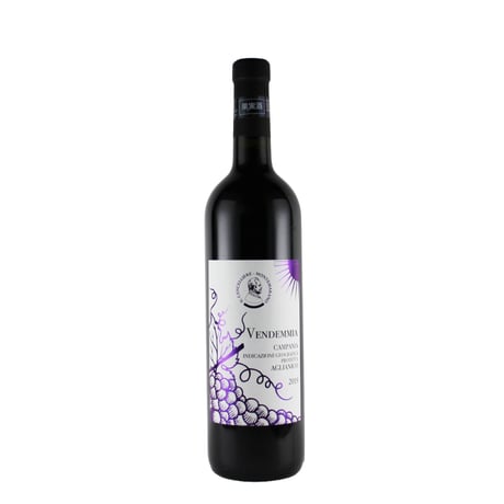 （赤）アリアーニコ 2019/イル カンチェッリエーレ（750ml）（商品の重さ1100g）