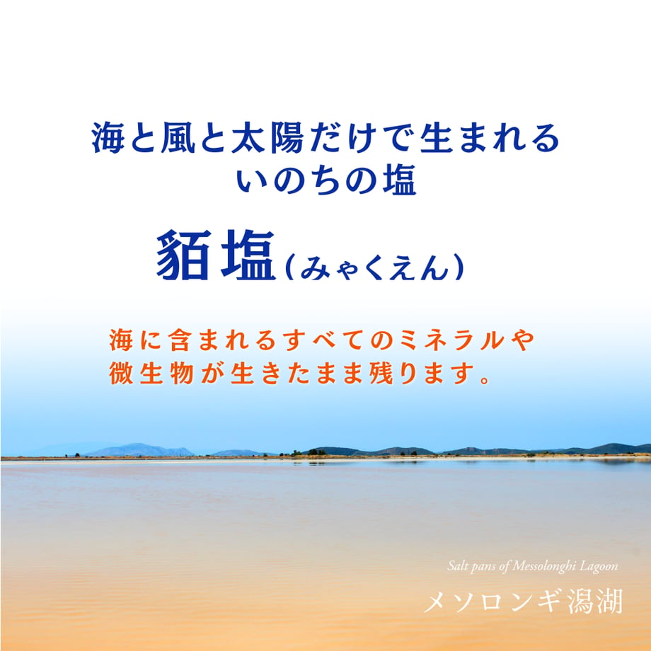 675a82fa24537c03832a9871