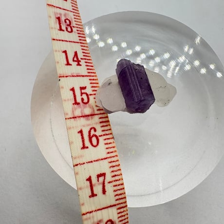 〜思いやり支え合いの関係〜Scapolite and Calcite (スキャポライトとカルサイト共生)(M0092)