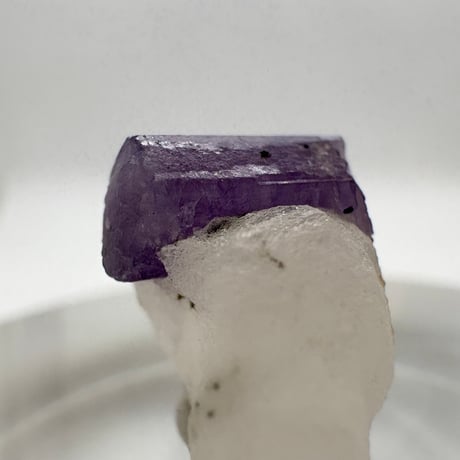 〜思いやり支え合いの関係〜Scapolite and Calcite (スキャポライトとカルサイト共生)(M0092)