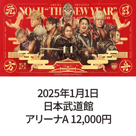 2025年1月1日・日本武道館大会　アリーナA席