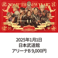 2025年1月1日・日本武道館大会　アリーナB席