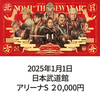 2025年1月1日・日本武道館大会　アリーナS席