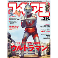 フィギュア王No.291