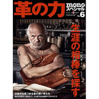 革の力 No.6