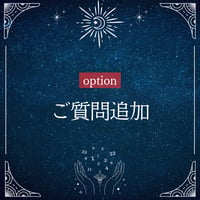 追加分
