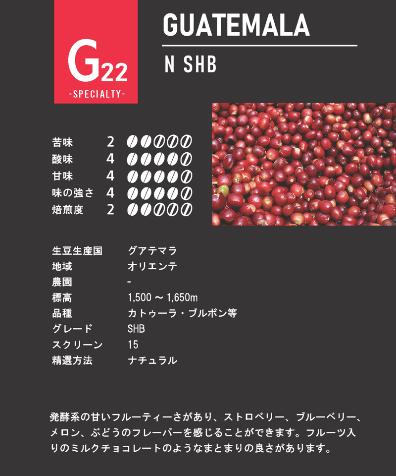 スペシャルティ・コーヒー豆200g】 グアテマラ（オリエンテ