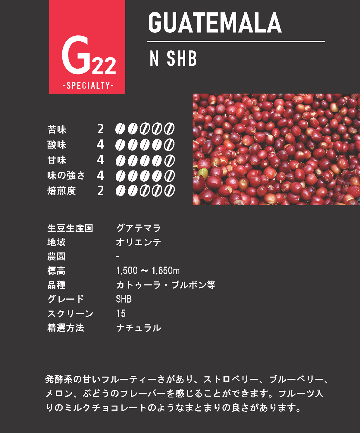 スペシャルティ・コーヒー豆200g】 グアテマラ（オリエンテ