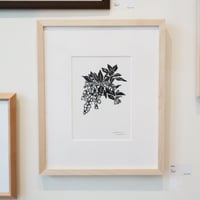 【額装原画】遊歩道／しらいしののこ