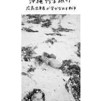『35歳の沖縄修学旅行 広島出身者が学びなおす戦争』／さこななか