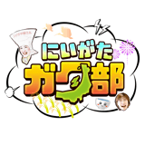 にいがたガタ部