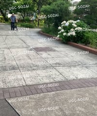 歩行器をおして歩いている
