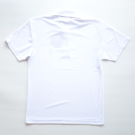 FORTUNE ISLAND GOLF "SWING LOGO S/S POLO"