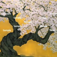 日本画風の桜