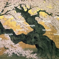 日本画風の桜