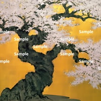 日本画風の桜