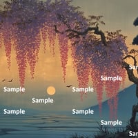 日本画風の藤の花