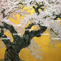 日本画風の桜
