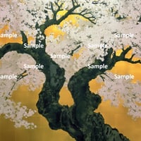 日本画風の桜