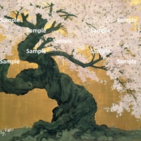 日本画風の桜