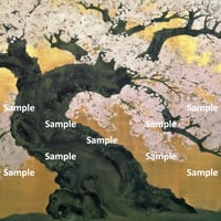 日本画風の桜