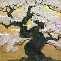日本画風の桜