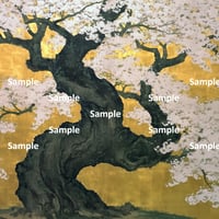 日本画風の桜