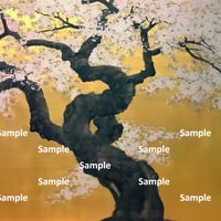 日本画風の桜