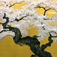 日本画風の桜