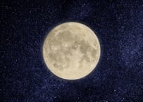 甘露の算命学鑑定 【プレミア】