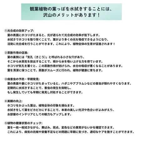 葉っぱの水拭きグローブ DUSTING GLOVE