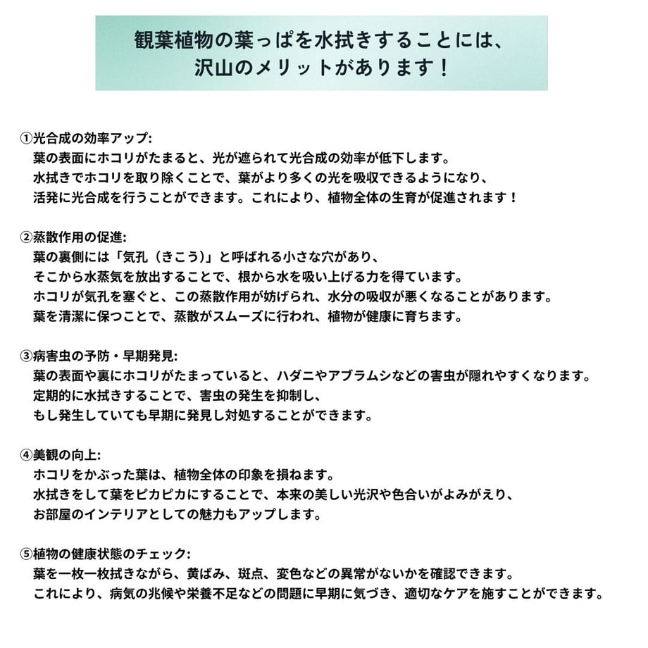 682fdc81e8c4f85cff36dfe5