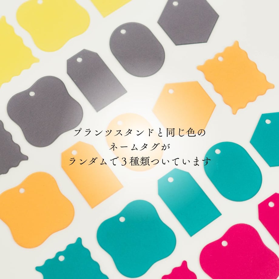 673e9bde589ed604dd718f33