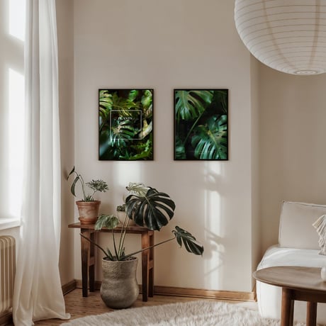 poster MONSTERA DEL