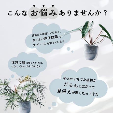 植物の広がり防止 SUPPORT STAKE 2個入り