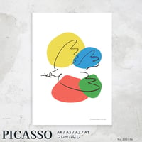 poster pigeon 202556