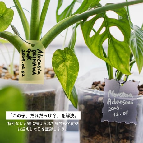 プランツネームタグ＆スティックセット（5個/5本）