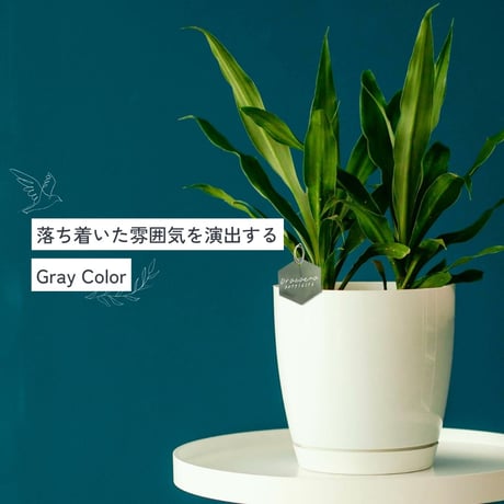 プランツネームタグ＆スティックセット（5個/5本）