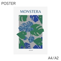 poster BLUE MONSTERA