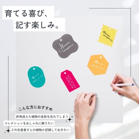 プランツネームタグ＆スティックセット（5個/5本）