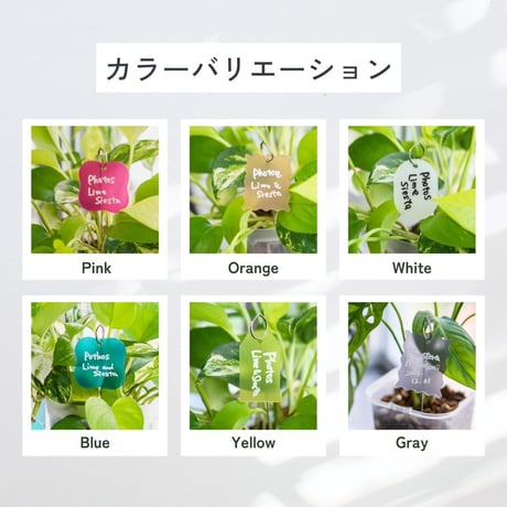 プランツネームタグ＆スティックセット（5個/5本）