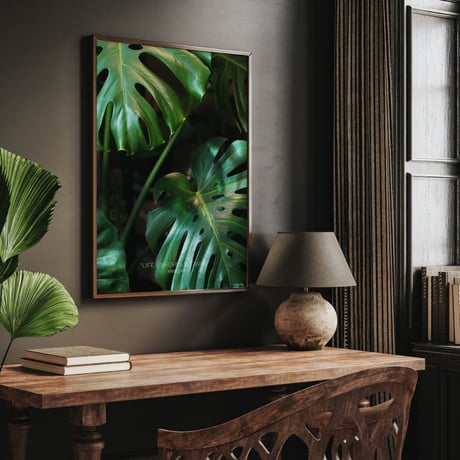 poster MONSTERA DEL