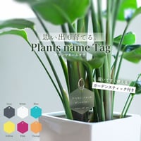 プランツネームタグ＆スティックセット（5個/5本）
